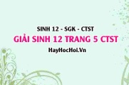 Giải Sinh 12 trang 5 Chân trời sáng tạo SGK